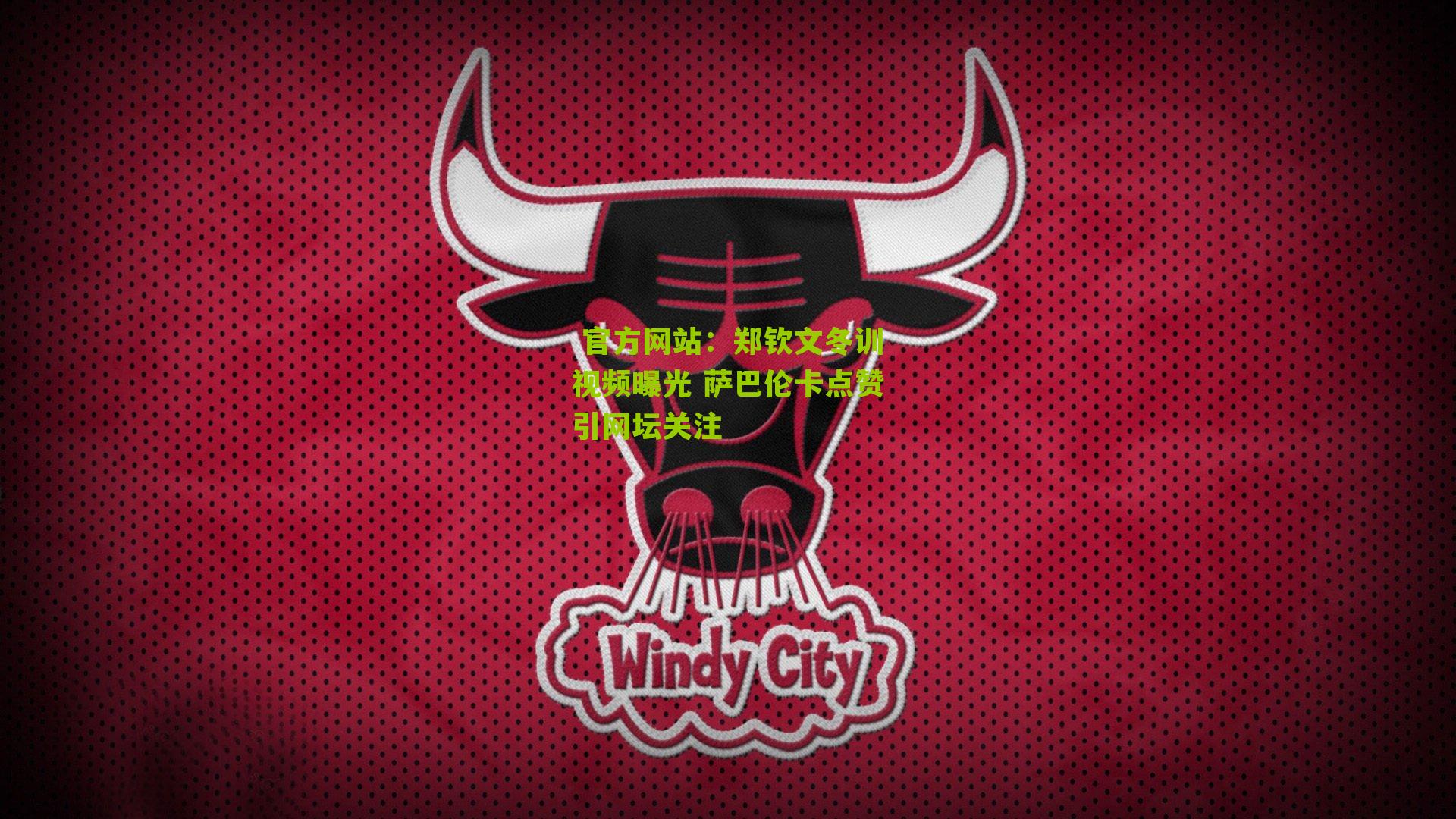 郑钦文冬训视频曝光 萨巴伦卡点赞引网坛关注